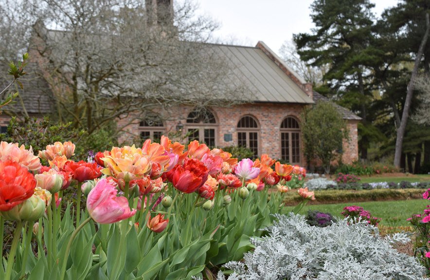 LSU AgCenter Botanic Gardens, United States